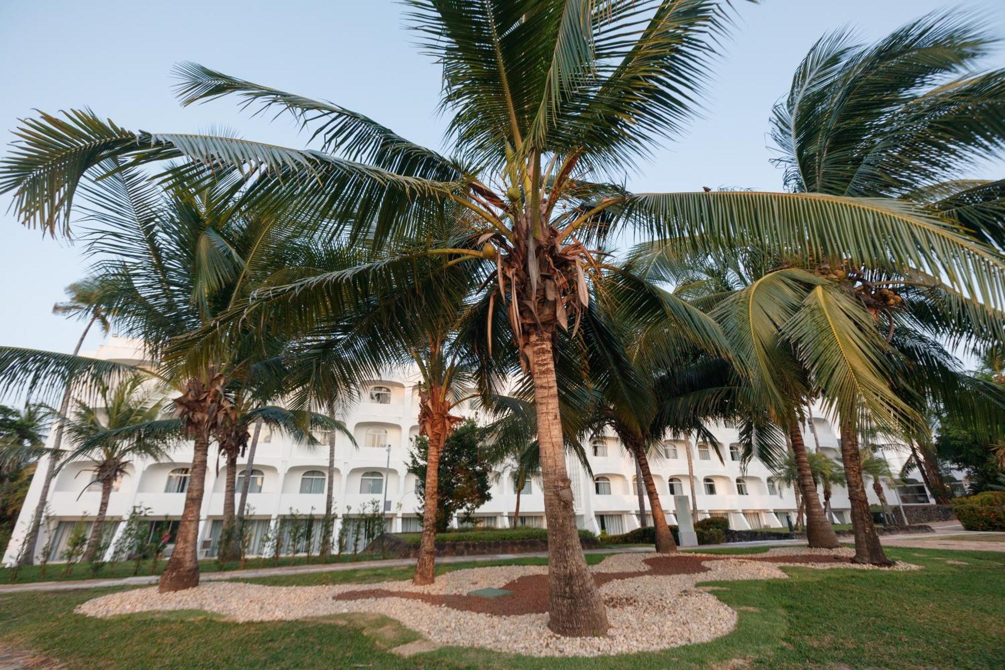Hotel Blue Tree Towers Sao Luis Esterno foto Coconut trees in the city